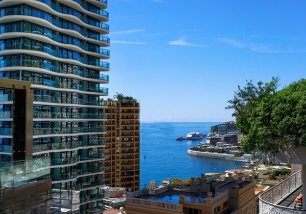 LUXUEUX STUDIO AMENAGE EN 2P - MAGNIFIQUE VUE MER ET BEACH- TERRASSE- CAVE - PARKING EN SUS